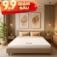 Nệm cao su Gummi 7zones nhập khẩu dày 12cm