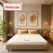 Nệm cao su Gummi 7zones nhập khẩu dày 12cm