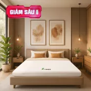 Nệm cao su Gummi 7zones nhập khẩu dày 12cm
