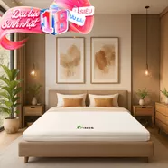 Nệm cao su Gummi 7zones nhập khẩu dày 12cm