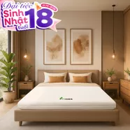Nệm cao su Gummi 7zones nhập khẩu dày 12cm