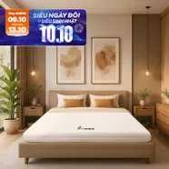 Nệm cao su Gummi 7zones nhập khẩu dày 12cm