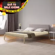 Nệm foam Goodnight Eva gấp 3 nâng đỡ dày 10cm