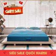Nệm foam Nhật Bản Aeroflow Pride bảo vệ cột sống dày 22cm
