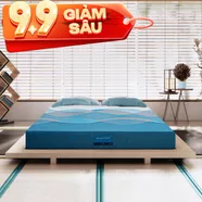 Nệm foam Nhật Bản Aeroflow Pride bảo vệ cột sống dày 22cm