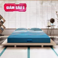 Nệm foam Nhật Bản Aeroflow Pride bảo vệ cột sống dày 22cm