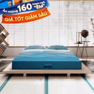 Nệm foam Nhật Bản Aeroflow Pride bảo vệ cột sống dày 22cm