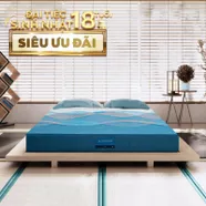 Nệm foam Nhật Bản Aeroflow Pride bảo vệ cột sống dày 22cm