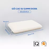 Gối cao su Gummi Evora 100% thiên nhiên massage thoáng khí