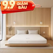 Nệm cao su cao cấp Gummi Legend nhập khẩu dày 20cm