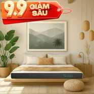 Nệm cao su đa tầng Kim Cương Stella dày 15cm