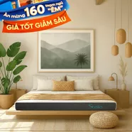Nệm cao su đa tầng Kim Cương Stella dày 15cm