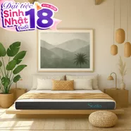 Nệm cao su đa tầng Kim Cương Stella dày 15cm