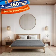Nệm foam Goodnight Core (Akita) gấp 3 dày 8cm