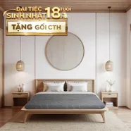 Nệm foam Goodnight Core (Akita) gấp 3 dày 8cm