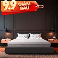 Nệm foam làm mát, kháng khuẩn nâng đỡ 5 vùng Comfy Lux 1.0