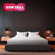 Nệm foam làm mát, kháng khuẩn nâng đỡ 5 vùng Comfy Lux 1.0