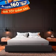Nệm foam làm mát, kháng khuẩn nâng đỡ 5 vùng Comfy Lux 1.0