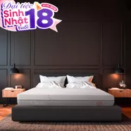 Nệm foam làm mát, kháng khuẩn nâng đỡ 5 vùng Comfy Lux 1.0
