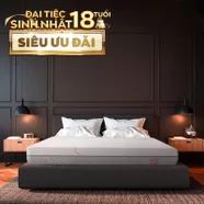 Nệm foam làm mát, kháng khuẩn nâng đỡ 5 vùng Comfy Lux 1.0