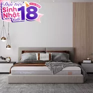Nệm foam Comfy Lux 2.0 cao cấp kháng khuẩn kép dày 22cm