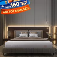 Nệm foam Comfy Lux 3.0 cao cấp tương thích toàn diện dày 25cm