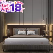 Nệm foam Comfy Lux 3.0 cao cấp tương thích toàn diện dày 25cm