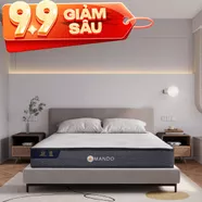 Nệm lò xo Amando Elite Original túi độc lập tiêu chuẩn khách sạn 5 sao dày 23cm