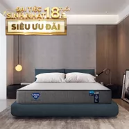Nệm lò xo Spring Air Back Supporter Firm hỗ trợ nâng đỡ dày 25cm