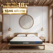 Nệm foam Goodnight Massage 2.0 (Hachi) giảm áp lực dày 15cm