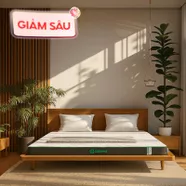 Nệm cao su thiên nhiên Gummi Premium detox giấc ngủ dày 10cm