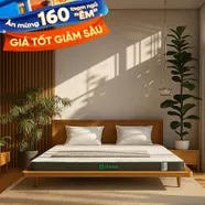 Nệm cao su thiên nhiên Gummi Premium detox giấc ngủ dày 10cm