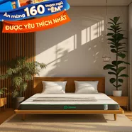 Nệm cao su thiên nhiên Gummi Premium detox giấc ngủ dày 10cm