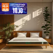 Nệm cao su thiên nhiên Gummi Premium detox giấc ngủ dày 10cm