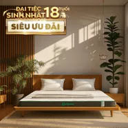 Nệm cao su thiên nhiên Gummi Premium detox giấc ngủ dày 10cm