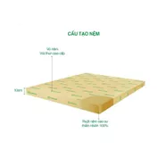 Nệm cao su Gummi Standard 2.0 nâng đỡ vững chắc