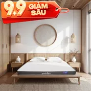 Nệm cao su đa tầng Goodnight Latex Hybrid (Rena) vững chắc, thông thoáng dày 10cm