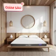 Nệm cao su đa tầng Goodnight Latex Hybrid (Rena) vững chắc, thông thoáng dày 10cm