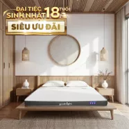 Nệm cao su đa tầng Goodnight Latex Hybrid (Rena) vững chắc, thông thoáng dày 10cm