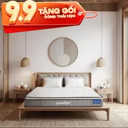 Nệm lò xo Goodnight SleepWave Hybrid (Sleep Wave 4.0) giảm tiếng ồn dày 20cm