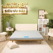 Nệm bông ép Wonjun Pure & Fresh dày 5/9cm gấp 3