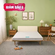 Nệm bông ép cao cấp Wonjun Pure Premium nâng đỡ vững chắc dày 12cm gấp 2