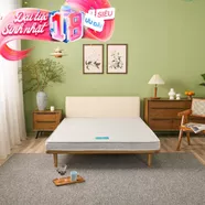 Nệm bông ép cao cấp Wonjun Pure Premium nâng đỡ vững chắc dày 12cm gấp 2