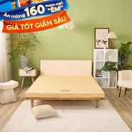 Nệm bông ép Wonjun Pure Carbon kháng khuẩn ưu việt dày 10cm gấp 2