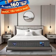 Nệm lò xo Spring Air Back Supporter Firm Cool nâng đỡ làm mát dày 26cm