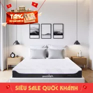 Nệm foam công nghệ Đức Goodnight Active Hybrid dày 20cm