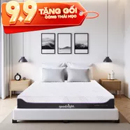 Nệm foam công nghệ Đức Goodnight Active Hybrid dày 20cm