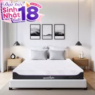 Nệm foam công nghệ Đức Goodnight Active Hybrid dày 20cm