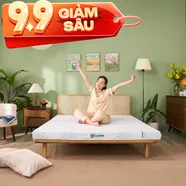 Nệm Gummi Signature – Công nghệ kép, nâng đỡ vượt trội, kháng khuẩn tối đa