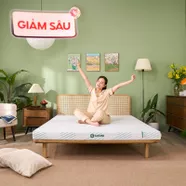 Nệm Gummi Signature – Công nghệ kép, nâng đỡ vượt trội, kháng khuẩn tối đa